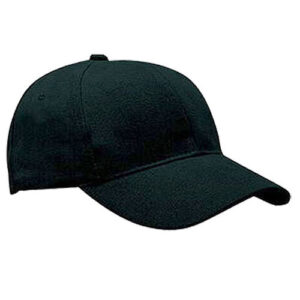 6 Panel Caps